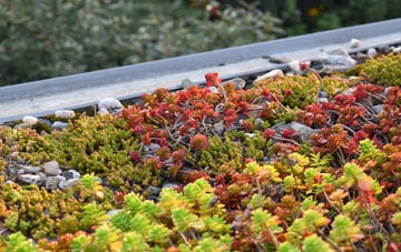 the cost of Square And Compass green roof installation