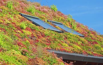 Square And Compass living roof systems