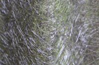 Square And Compass fibreglass roof work